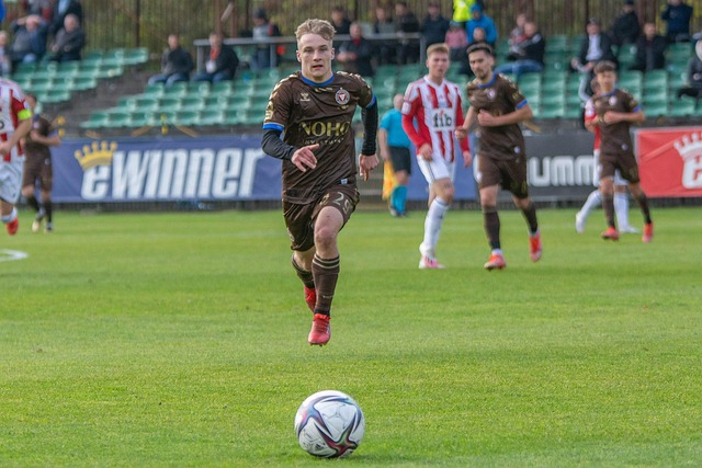 到他引入的 到他引入的